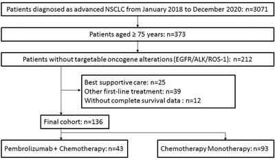 Pembrolizumab Plus Chemotherapy Versus Chemotherapy Monotherapy as a First-Line Treatment in Elderly Patients (≥75 Years Old) With Non-Small-Cell Lung Cancer